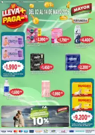 Catálogo Supermercados Mayor Página 5