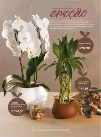 Folheto Oba Hortifruti Página 8