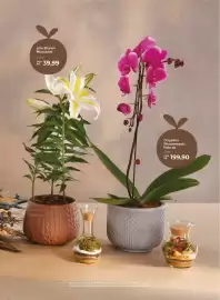 Folheto Oba Hortifruti Página 9