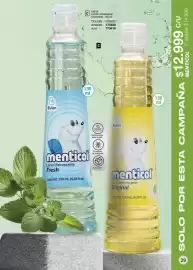 Catálogo Juana Bonita Página 29