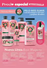 Catálogo Nova Venta Página 2