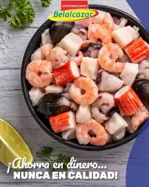 Catálogo Belalcazar Página 1