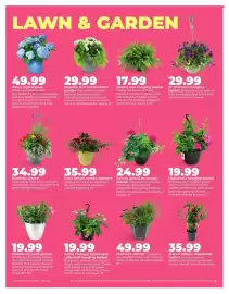 Hy-Vee weekly ad week 19 Page 5