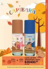 Catálogo Monique Página 101