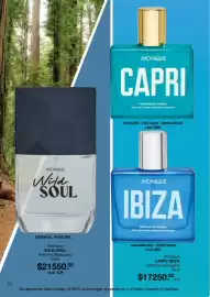 Catálogo Monique Página 54