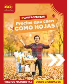 Catálogo Comercial Castro Página 1