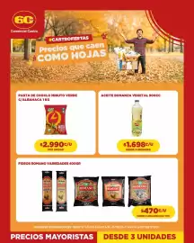 Catálogo Comercial Castro Página 3