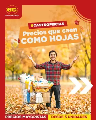 Comercial Castro (válido hasta 31-05)