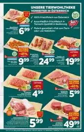 Billa Flugblatt woche 19 Seite 11