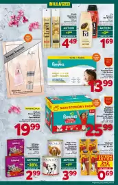 Billa Flugblatt woche 19 Seite 21
