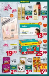 Billa Flugblatt woche 19 Seite 21