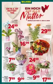 Billa Flugblatt woche 19 Seite 6
