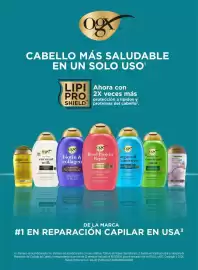 Folleto Chedraui Página 13
