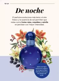 Folleto Chedraui Página 62