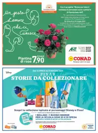 Volantino Conad Margherita Pagina 19