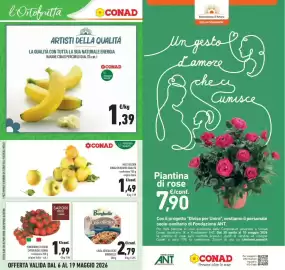 Volantino Conad Pagina 12