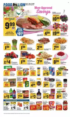 Food Lion (valid until 12-05)