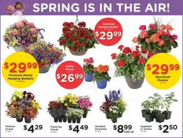 Fred Meyer weekly ad week 19 Page 12