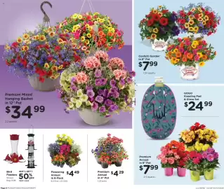 Fred Meyer weekly ad week 19 Page 6