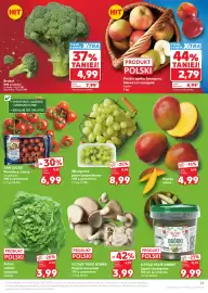 Kaufland gazetka tydzień 19 Strona 21
