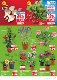 Kaufland gazetka tydzień 19 Strona 23