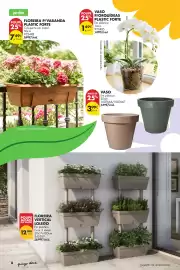 Folheto Pingo Doce | Bazar Ar Livre Página 8