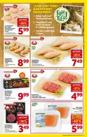 Billa Flugblatt woche 19 Seite 9