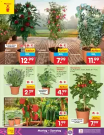 Netto Marken-Discount Prospekt woche 20 Seite 10