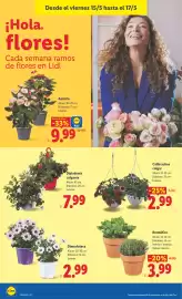 Catálogo Lidl semana 20 Página 40