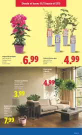 Catálogo Lidl semana 20 Página 41
