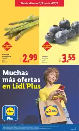 Catálogo Lidl semana 20 Página 5