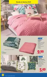 Catálogo Lidl | Bazar Página 32