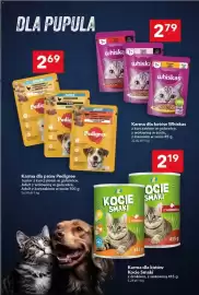 Lewiatan gazetka tydzień 19 Strona 15