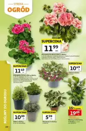 Auchan gazetka tydzień 19 Strona 22