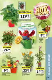 Auchan gazetka tydzień 19 Strona 23