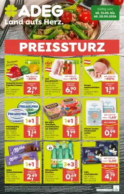 ADEG Flugblatt