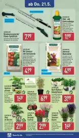 Aldi Nord Prospekt woche 21 Seite 16