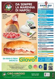 Volantino Ciro Amodio Pagina 12