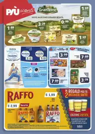 Volantino Vivo Supermercati Pagina 17