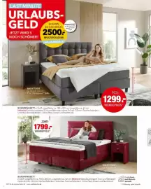 Multipolster Prospekt Seite 42