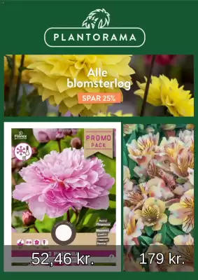 Plantorama (gælder indtil 4-06)