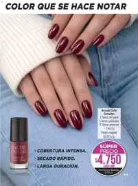 Catálogo Amodil Página 29