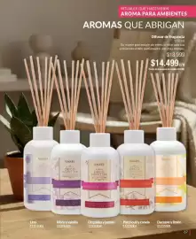 Catálogo Bagués Página 67