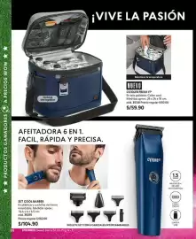 Catálogo Cyzone Página 100
