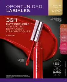 Catálogo L'Bel Página 45