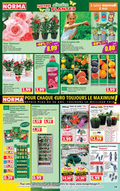 Catalogue Norma semaine 19 page 14