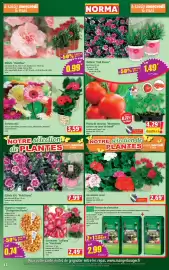 Catalogue Norma semaine 19 page 13