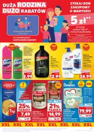 Kaufland gazetka tydzień 19 Strona 17