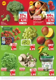 Kaufland gazetka tydzień 19 Strona 21