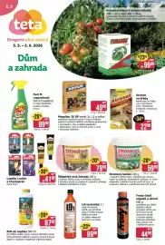 Teta leták Strana 1